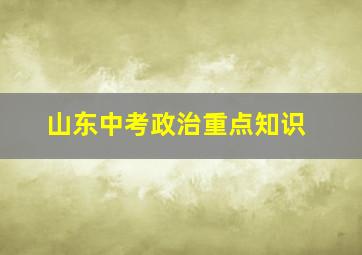 山东中考政治重点知识