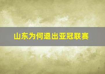 山东为何退出亚冠联赛