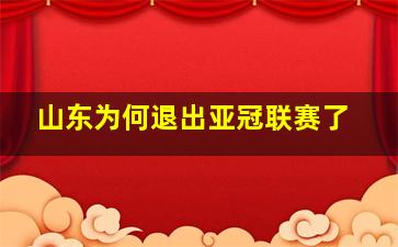 山东为何退出亚冠联赛了