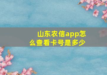 山东农信app怎么查看卡号是多少