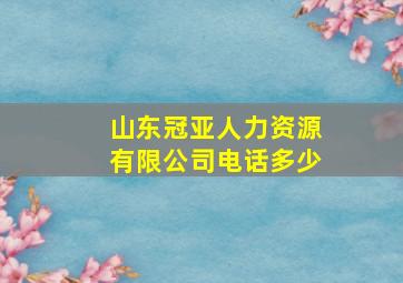 山东冠亚人力资源有限公司电话多少