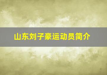 山东刘子豪运动员简介