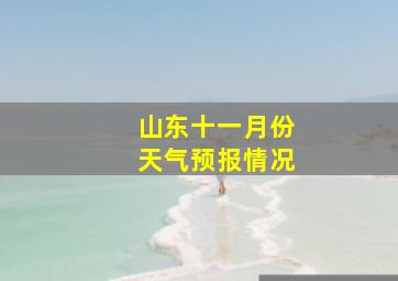 山东十一月份天气预报情况