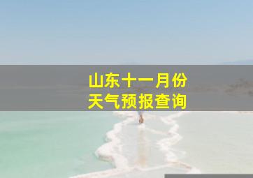 山东十一月份天气预报查询