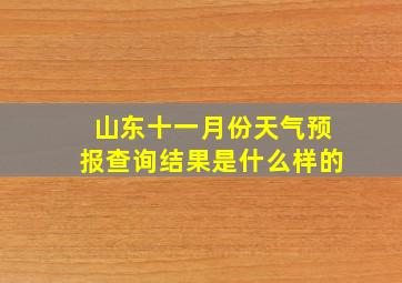 山东十一月份天气预报查询结果是什么样的