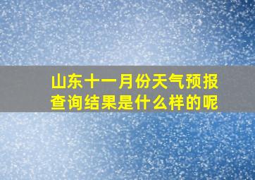 山东十一月份天气预报查询结果是什么样的呢