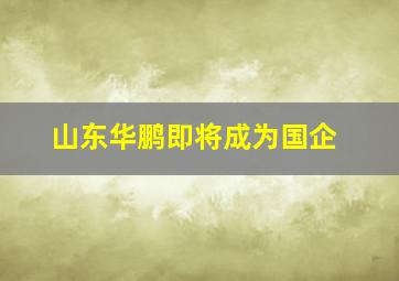 山东华鹏即将成为国企