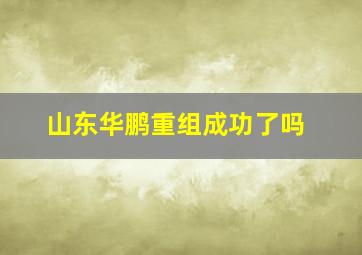 山东华鹏重组成功了吗