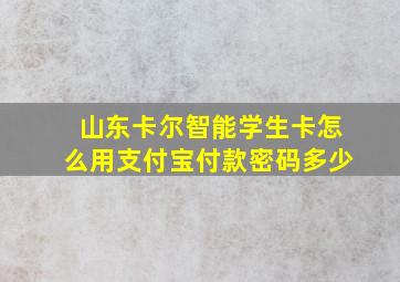 山东卡尔智能学生卡怎么用支付宝付款密码多少