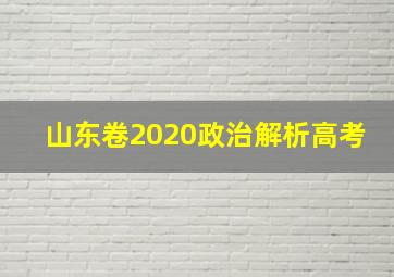 山东卷2020政治解析高考