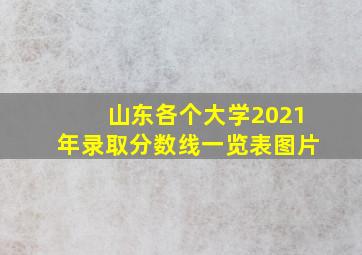 山东各个大学2021年录取分数线一览表图片