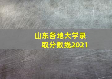 山东各地大学录取分数线2021