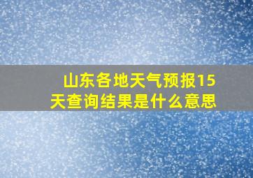 山东各地天气预报15天查询结果是什么意思