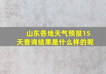 山东各地天气预报15天查询结果是什么样的呢