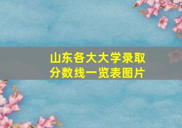 山东各大大学录取分数线一览表图片