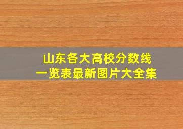 山东各大高校分数线一览表最新图片大全集