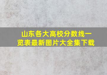 山东各大高校分数线一览表最新图片大全集下载