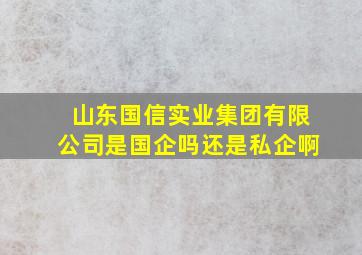 山东国信实业集团有限公司是国企吗还是私企啊