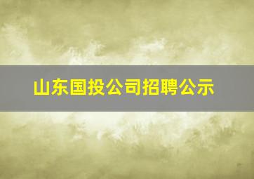 山东国投公司招聘公示