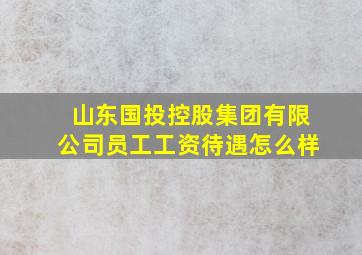 山东国投控股集团有限公司员工工资待遇怎么样