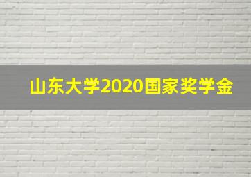 山东大学2020国家奖学金