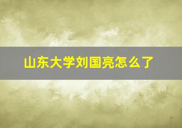 山东大学刘国亮怎么了