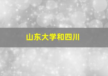 山东大学和四川