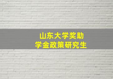 山东大学奖助学金政策研究生