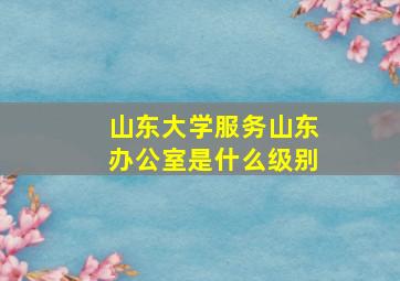 山东大学服务山东办公室是什么级别