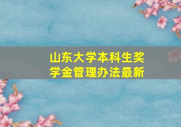 山东大学本科生奖学金管理办法最新