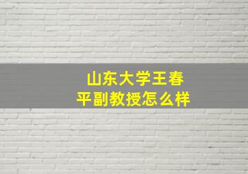 山东大学王春平副教授怎么样