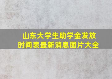 山东大学生助学金发放时间表最新消息图片大全