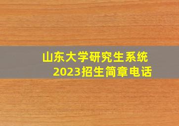 山东大学研究生系统2023招生简章电话