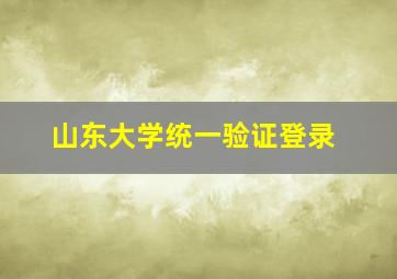 山东大学统一验证登录