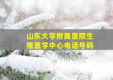 山东大学附属医院生殖医学中心电话号码