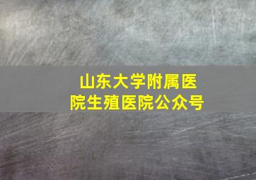 山东大学附属医院生殖医院公众号