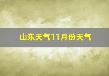 山东天气11月份天气