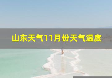 山东天气11月份天气温度