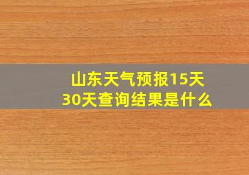 山东天气预报15天30天查询结果是什么