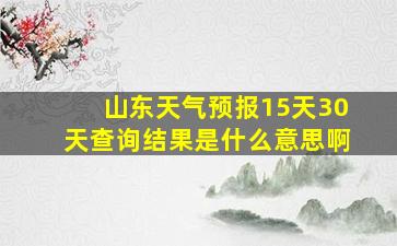 山东天气预报15天30天查询结果是什么意思啊