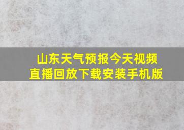 山东天气预报今天视频直播回放下载安装手机版