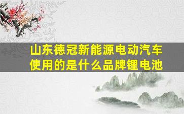 山东德冠新能源电动汽车使用的是什么品牌锂电池