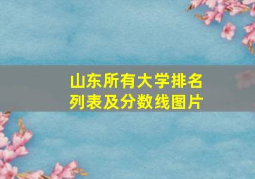 山东所有大学排名列表及分数线图片