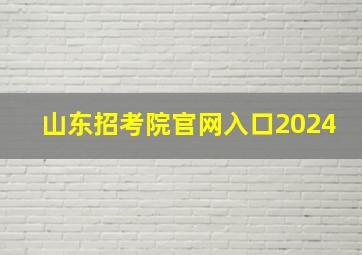 山东招考院官网入口2024