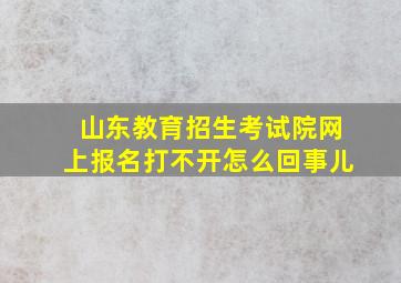 山东教育招生考试院网上报名打不开怎么回事儿