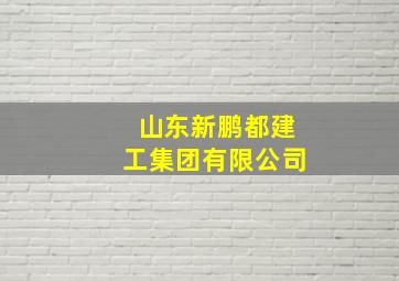 山东新鹏都建工集团有限公司