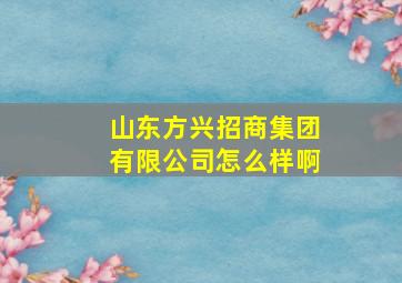 山东方兴招商集团有限公司怎么样啊