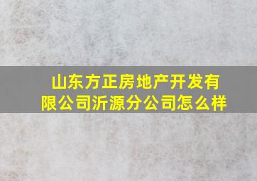 山东方正房地产开发有限公司沂源分公司怎么样