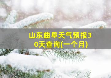 山东曲阜天气预报30天查询(一个月)