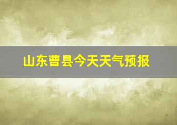 山东曹县今天天气预报